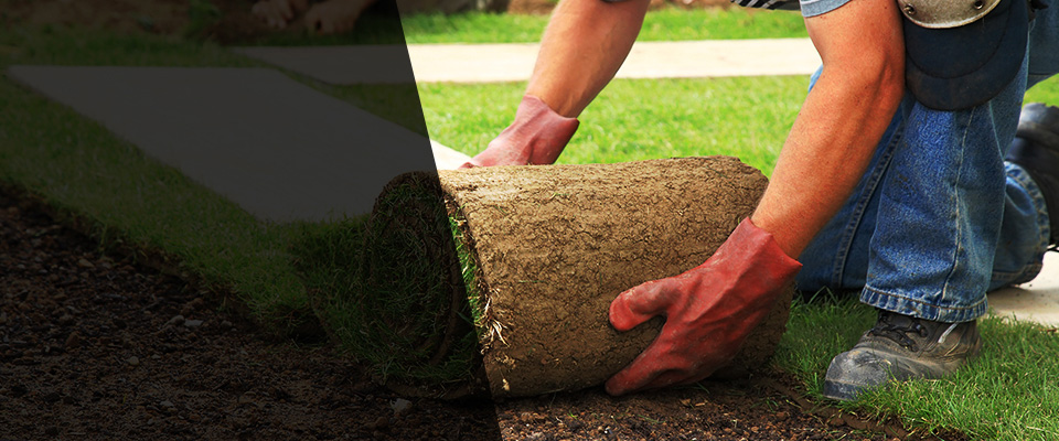 Okolona Landscapers
